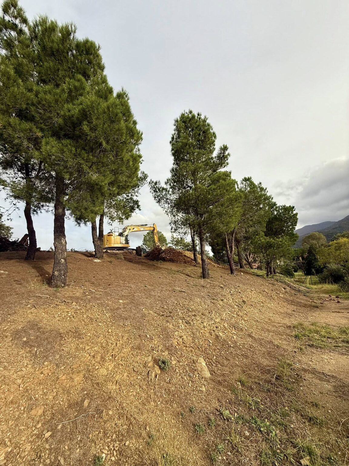 Nettoyage complet de la parcelle • Évacuation de la végétation 🌿 • Plus de 1 300 m³ de terre déplacés en déblais/remblai ⛏️ • Mise en place de 300 tonnes d’enrochement à Montesquieu