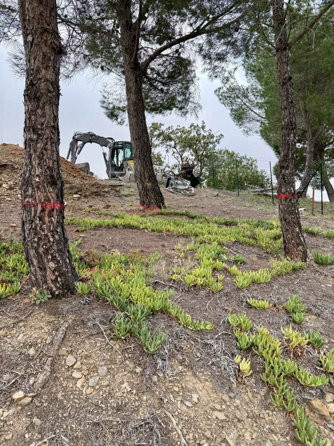 Nettoyage complet de la parcelle • Évacuation de la végétation 🌿 • Plus de 1 300 m³ de terre déplacés en déblais/remblai ⛏️ • Mise en place de 300 tonnes d’enrochement à Montesquieu