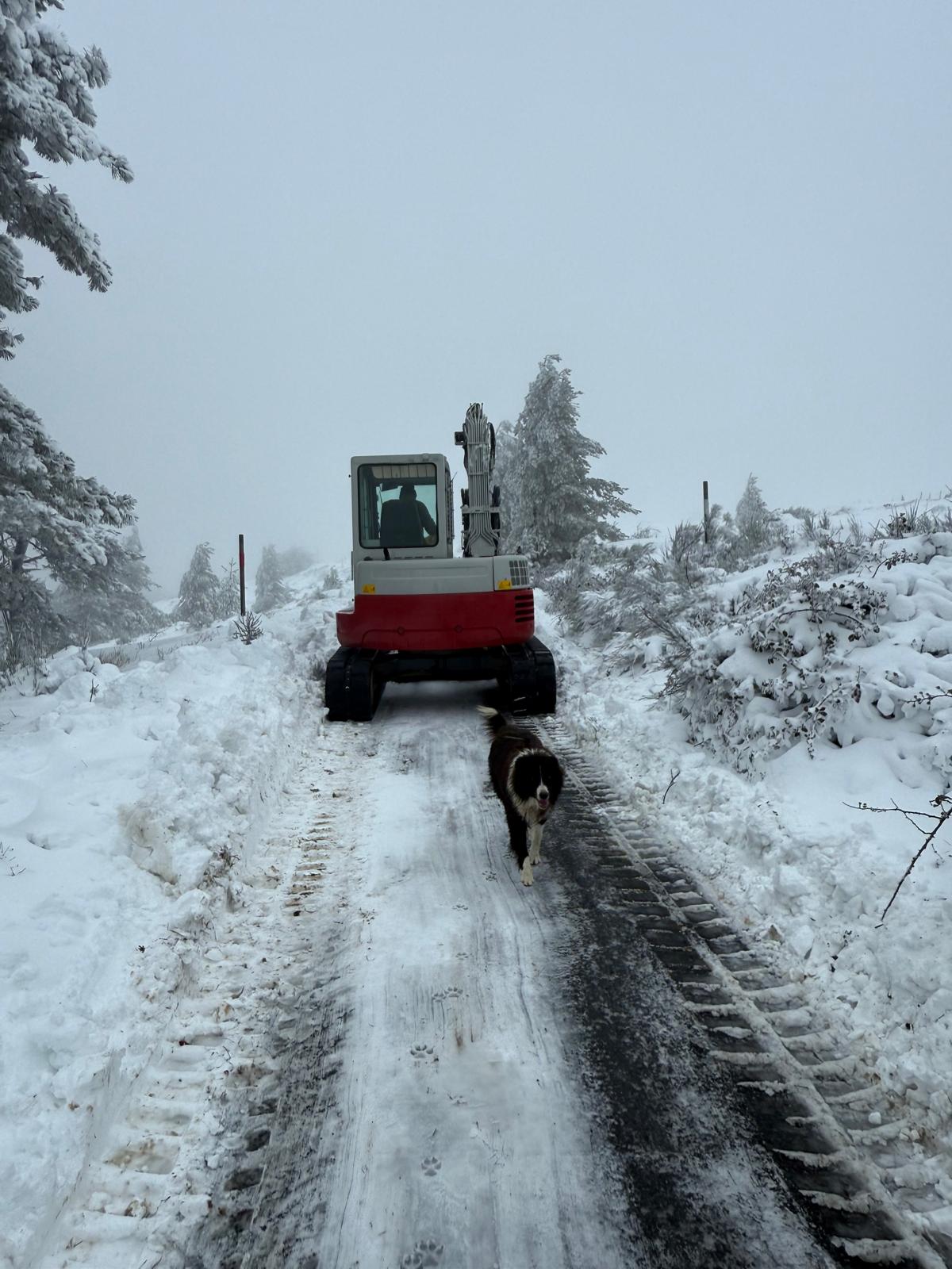 Déneigement pic du Néoulous à L’Alberes