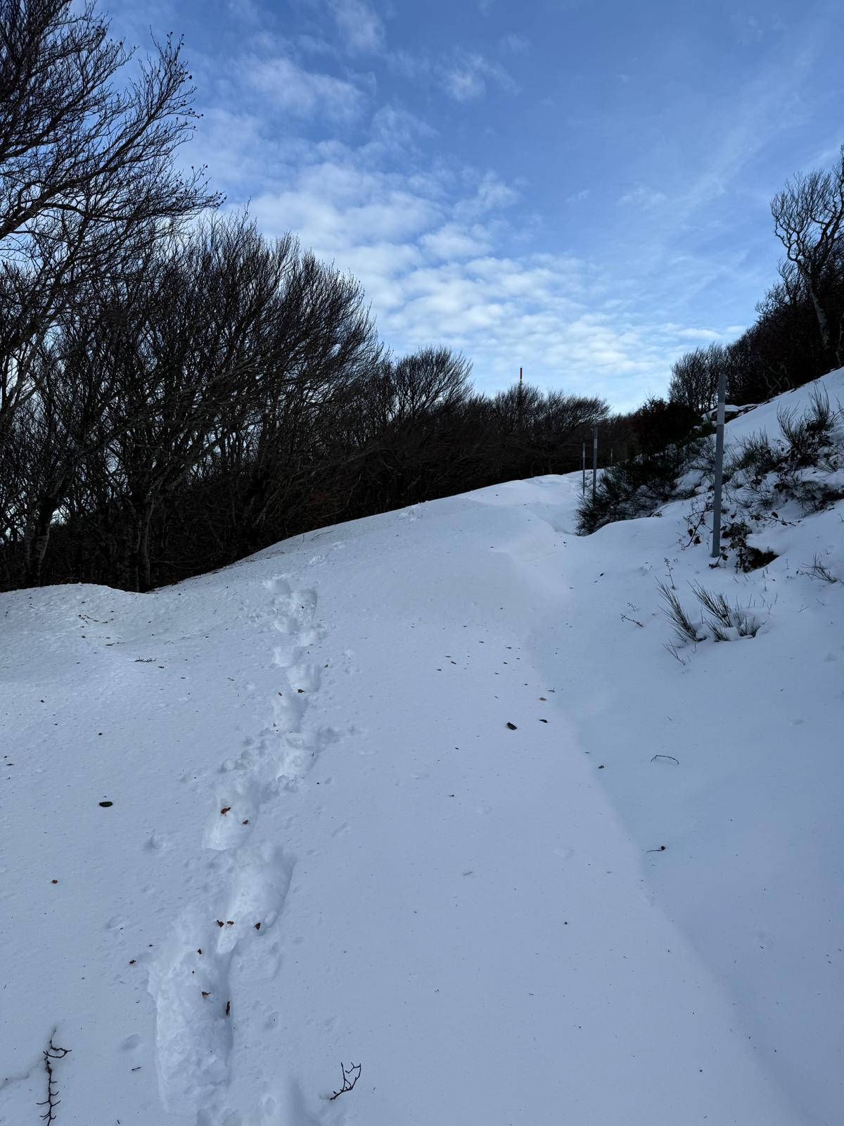 Déneigement pic du Néoulous à L’Alberes